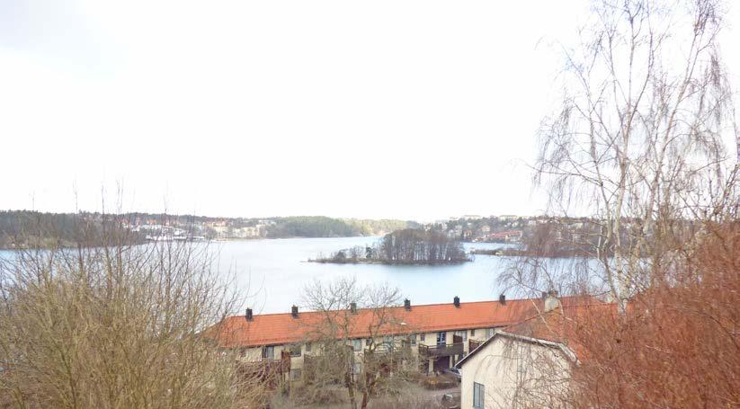 Den ädellövträdsrika parken kring Hägerstens gård är också värdefull och fyller en funktion som spridningskorridor.