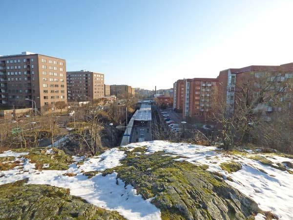 Sydsluttningen längs Gamla vägen består av en moränsluttningen med framförallt ek och tall. En hel del av dessa träd är gamla och relativt stora, se figur 6.