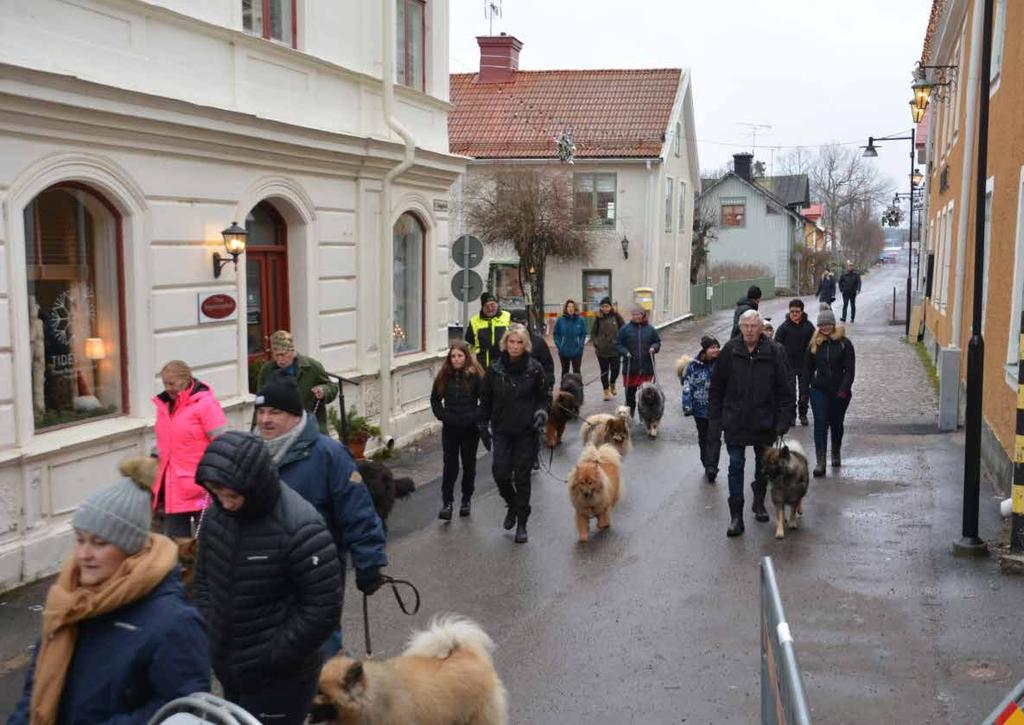 Eurasierträff Trosa 2019 Eurasierträff i Trosa 2019-01-06 Så har Susanne