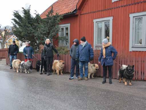längs Trosa ån och genom gamla stan för att sen vända tillbaka mot hamnen
