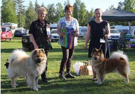 Frukostbuffé 99:-/person Bokningen sker via receptionen 0490-258000 Uppge EURASIERKLUBBEN Anmälningsavgiften betalas in på SvEuk BG 5101-5030 senast 23 april Ange 2 saker per hund - Hundens