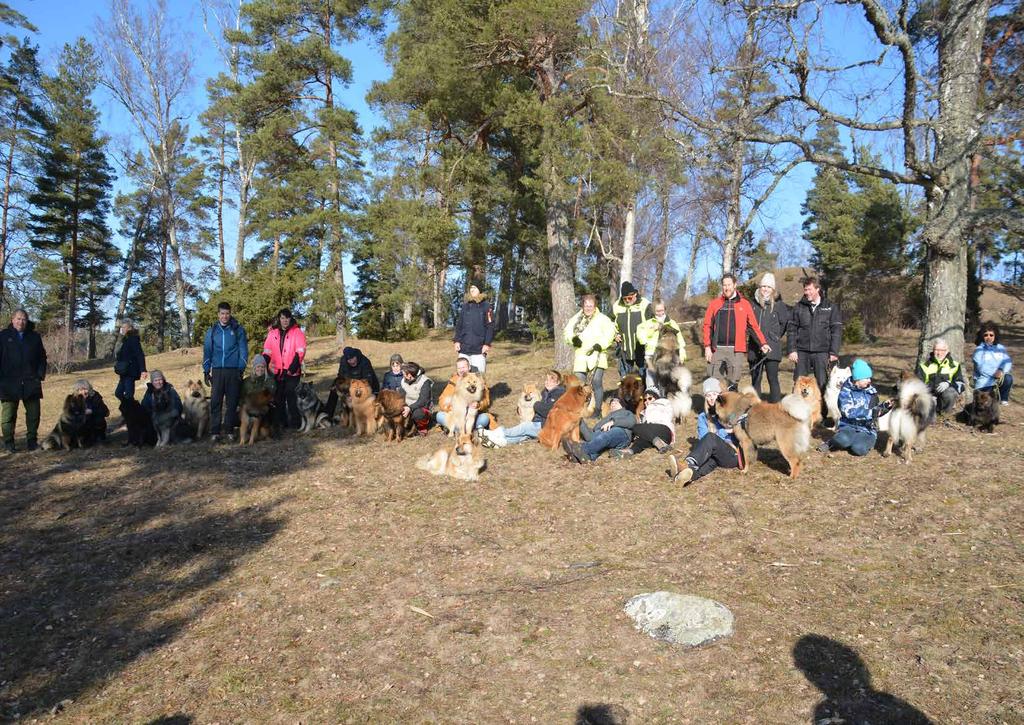 Eurasierträff Brandalsund 2019 Eurasierträff på Brandalsund 2019-02-24 Hade bara gått och väntat på att det skulle bli Januari så jag kunde kontakta Södertälje kommun för att få tillåtelse att få