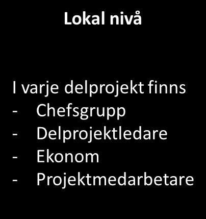 Projekt i två nivåer Umeå Styrgrupp