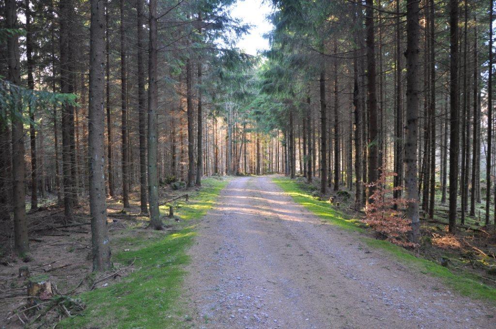 Skogsfastighet 31 ha Hörby Byggnadsfri skogsfastighet med avskilt läge i Ekastorp norr om Hörby. 25,7 ha produktiv skogsmark med ett virkesförråd om ca 4 200 m³sk bestående av gran och bok.