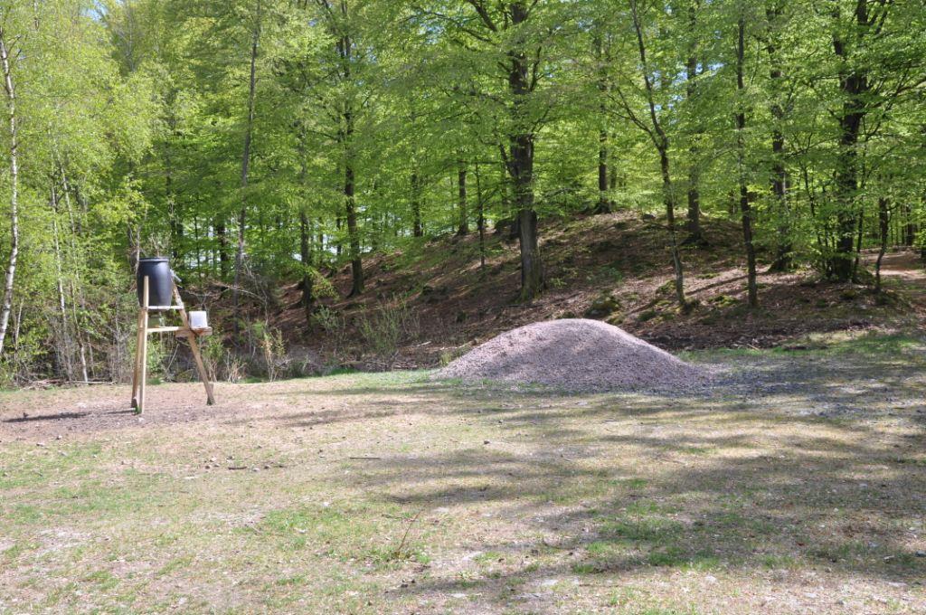 Skog Fastigheten består av 25,7 ha produktiv skogsmark och 0,4 ha mosse enligt bilagd skogsbruksplan från sommaren 2018 (Kenneth Rydiander, BokSkog AB). Virkesförråd ca 4 200 m³sk bestående av bl.