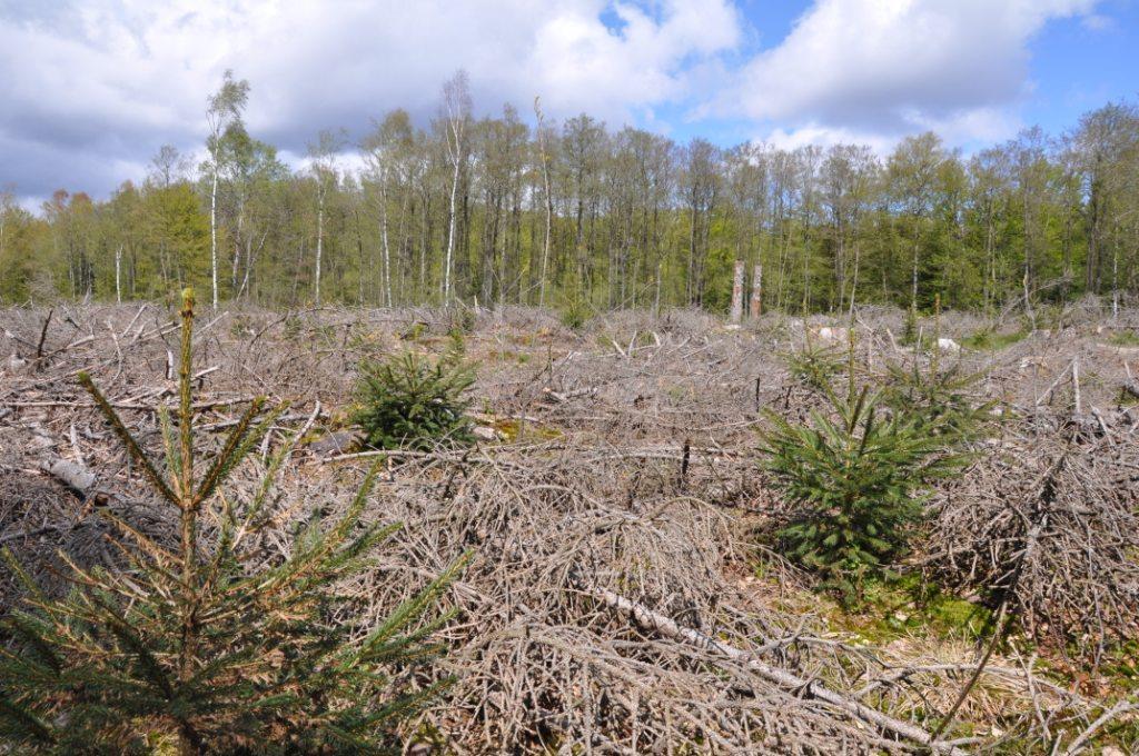 Rättsförhållanden Fastighet Fastighetsbeteckningen är och fastigheten är belägen i Hörby Kommun, Södra Rörum församling.