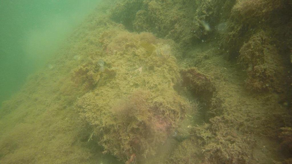 Österut från Funtebukten till Hålkedalskilen Djupet på denna del var mellan 0,4 och 20 meter (vp 4 i Funtebukten i väst vp 29 i Hålkedalskilen i öst; Bilagorna 2 och 3, Kartorna 3 och 4 respektive).