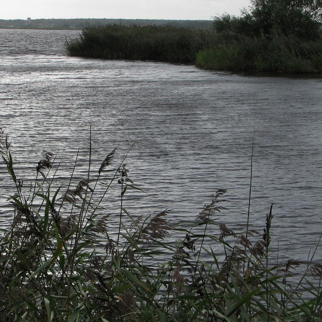 Telefon 010-698 60 00 publikationer@havochvatten.