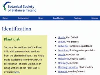 Du finner den under Arkiv på Lunds Botaniska Förenings hemsida (lundsbotaniska.se). En liknande lista, med stor relevans för Sverige, är den brittiska The Plant Crib (bsbi.