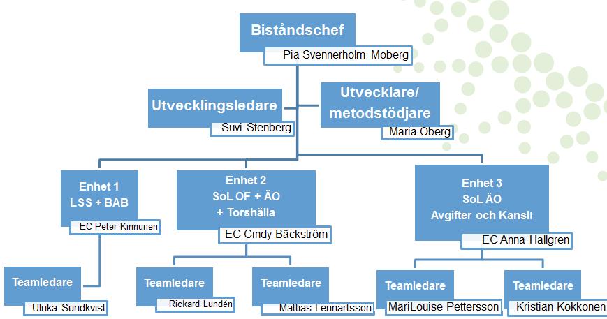 Förkortningar: LSS: Lagen om stöd och service till vissa