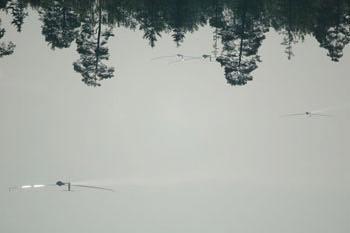 sion av hemsidan med nya funktioner där bla flera administratörer kan redigera data. Ansvarig för hemsidan - webmaster - är Christer Hård af Segerstad.
