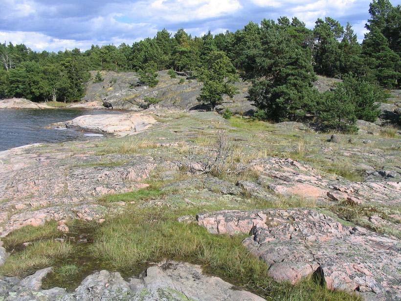 Figur 6. Potentiell miljö för linsräkor på Jungfruskär. Jämfört med 2006 års undersökning var detta års inventering betydligt mer fokuserad på lämpliga miljöer för linsräkor.