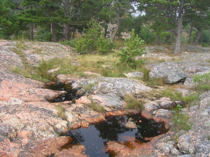 5:3 Ornö Mur