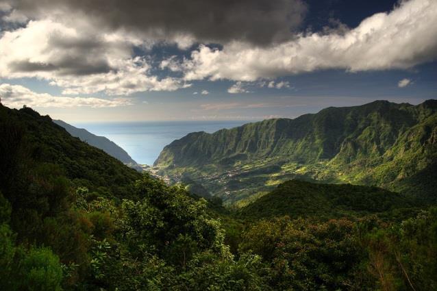 Madeira, Machico Funchal, 7 nätter 4(7) kan du lätt ta dig upp till den botaniska trädgården för att lära dig mera om Madeiras tusentals sköna växter.