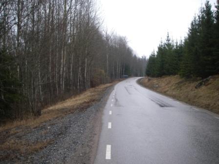 Sjön Tärnan ligger framme till