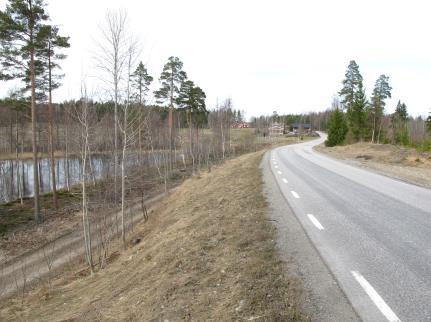 Tabell 8 Sammanfattning av inventeringsresultat för Vinarträsket Art Trafikdödade Levande Totalt Procent döda Procent levande Spelande Vanlig padda 0 0 0 - - 0 Åkergroda 0 0 0 - - 0 Vanlig groda 0 0
