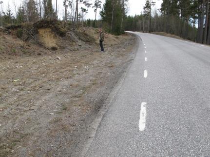 plusgrader, mulet 20100416: 6 stycken bilar under 30 minuter, 4 plusgrader, mulet Åtgärdsförslag Det är möjligt att groddjur finns vid Vinarträsk trots att inga hittades under inventeringen.