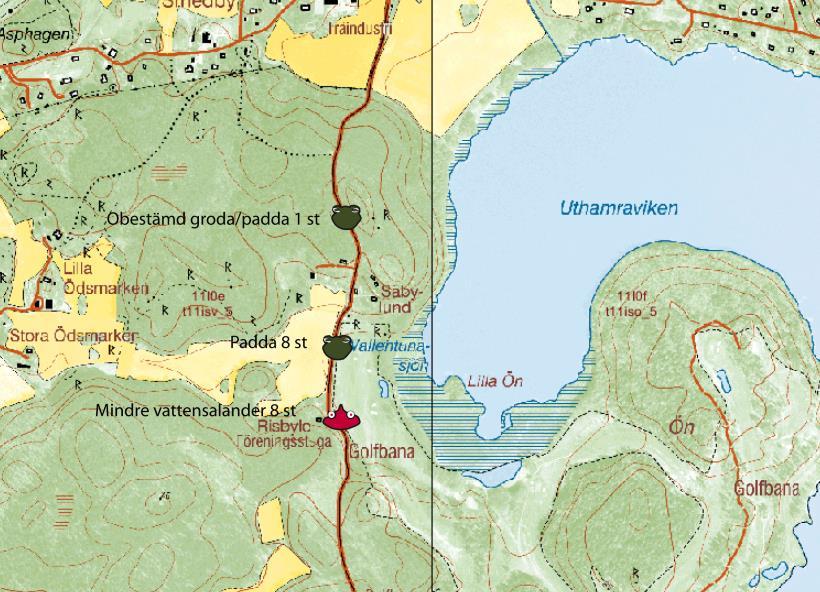Risbyle Koordinater i RT90 nord/syd: 6600462, öst/väst: 1624766. Under inventeringsarbetet kom ett tips från allmänheten om denna lokal.