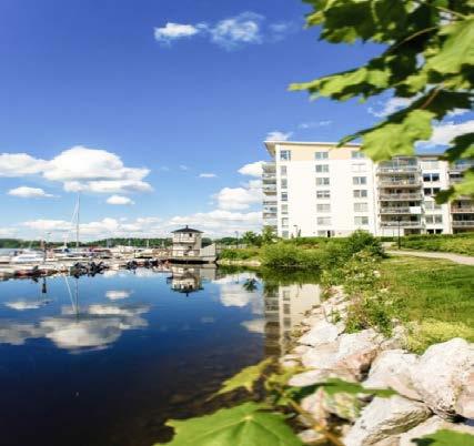 Riktlinjer för