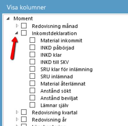Jag vill även se hur långt jag har kommit med deklarationerna genom att ta fram de kolumner som ligger under