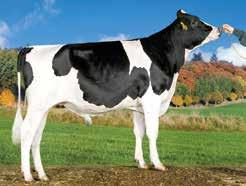 Lobach Stmb nr 552 Kod nr 9-7447 F: Lexor M: Noma VG-89 Malibu Stmb nr 842 Kod nr 9-7477 F: Maximum M: Noma MF: Time MM: Nemo VG-87 MF: Time MM: Nemo VG-87 MMF: Stol Jock MMM: Neblina MMF: Stol Jock