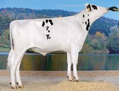 Epochal Stmb nr 542 Kod nr 9-73 Fageno Stmb nr 456 Kod nr 9-7374 F: Epic M: Marilyn VG-86 F: Fidji M: TH Malta VG-86 MF: Planet MM: Marilyn VG-88 MF: Ruacana MM: TH Heidi VG-86 MMF: Shottle MMM: