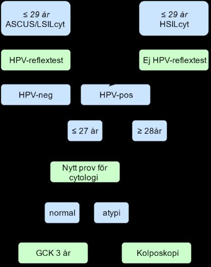 Flödesschema 1: Kvinnor 23 29 år 13.2.2 Kvinnor 30 t.o.m. 70 år (då HPV är primär screeninganalys) (uppdaterat 2018) Triage med cytologi som reflextest.