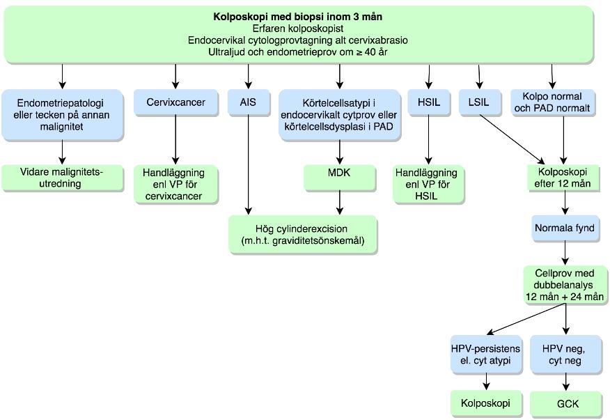 Flödesschema 7: Cytologiska analysen visar: Körtelcellsatypi (ej AIS) eller Atypi i celler av oklar/annan celltyp Blå box är fynd/tillstånd. Grön box är åtgärd.