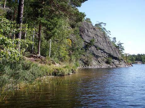 Bredkaveldun noterades i en vik i sjöns nordvästra del (transekt 5) och i övrig förekom bland annat vass, starr och topplösa.