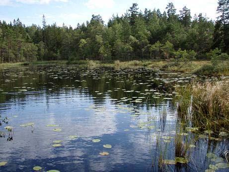 Sjön ligger långt från bebyggelse och omges av skogs- och hällmark samt vid de norra och delar av västra stränderna av våtmarker.