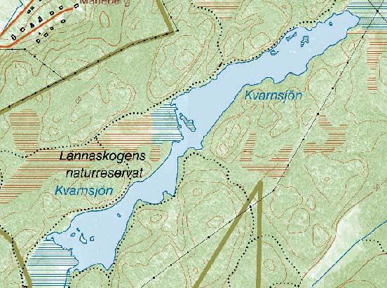 1998/99 inventerades två transekter i sjön. Vid detta tillfälle noterades enbart vit näckros i riklig förekomst och med en djuputbredning som angavs till noll meter.