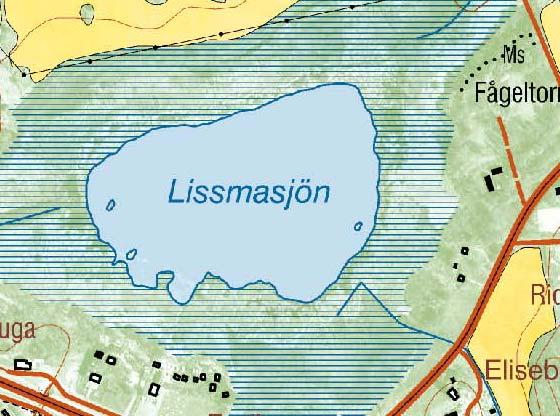 Stränderna kring Kvarnsjön-Lissma var öppna eller kantades av framförallt säv eller starr.