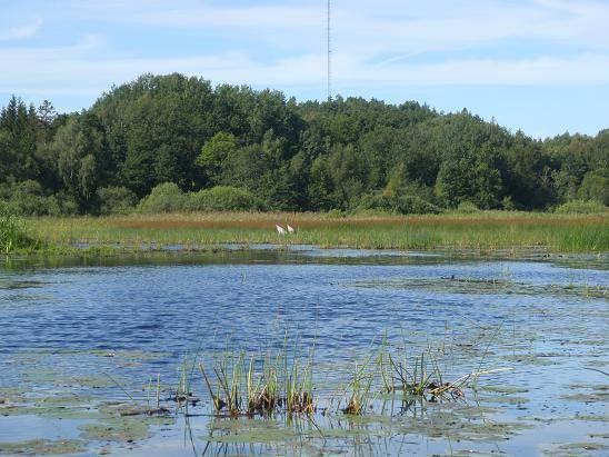 Sjön är mycket grund och omges av breda och våtmarksliknande bälten av huvudsakligen säv men även vass, starr samt smal- och bredkaveldun.