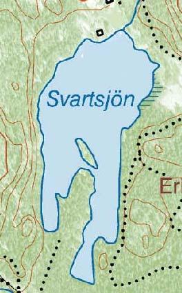 6 4 5 2 1 3 Figur 61 och 62. Ungefärliga lägen och sträckningar för transekter som inventerades i Svartsjön den 12 augusti 2009. Sjöns stränder kantades av smalkaveldun eller utgjordes av hällar.