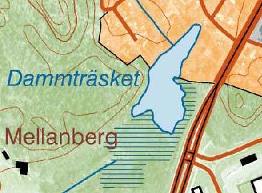 Figur 73 och 74. Ungefärligt läge och sträckning för den transekt som inventerades i Dammträsket den 13 augusti 2009. Sjön är grund och vegetationsrik och vattenytan täcks av näckrosor.