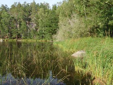 Sjöns omges till stora delar av skogsmark, men bebyggelse finns längs sjöns norra del.