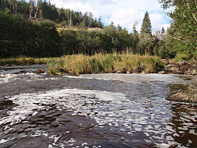 7. Örekilsälven, Gunnarsbo Koordinater: 6507305/26690 (RT90_25gonV) Län: 4 Västra Götaland Vattendragsbredd: 20 m Kommun: - Medeldjup provyta: 0,2 m Provtagningsmetodik: SS-EN 3946 Vattennivå: låg