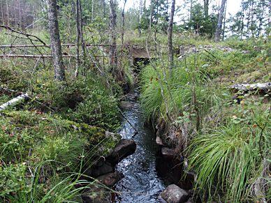7. Bäck från Köljesjön, Holm Koordinater: 636590/339950 (RT90_25gonV) Län: 4 Västra Götaland Vattendragsbredd: m Kommun: - Medeldjup provyta: 0,2 m Provtagningsmetodik: SS-EN 3946 Vattennivå: medel