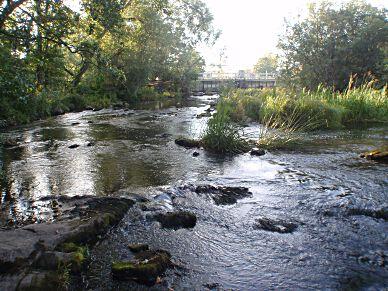 25. Tidan, Stadkvarnen i Mariestad Koordinater: 650822/385294 (RT90_25gonV) Län: 4 Västra Götaland Vattendragsbredd: 00 m Kommun: - Medeldjup provyta: 0,2 m Provtagningsmetodik: SS-EN 3946