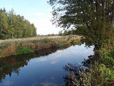 28. Tidan, Svartekulla, Tidaholm Koordinater: 6456676/392859 (RT90_25gonV) Län: 4 Västra Götaland Vattendragsbredd: 0 m Kommun: - Medeldjup provyta: 0,7 m Provtagningsmetodik: SS-EN 3946 Vattennivå:
