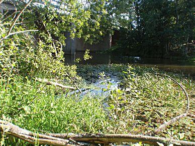 33. Ösan, Asketorp, Skövde Koordinater: 6476570/388740 (RT90_25gonV) Län: 4 Västra Götaland Vattendragsbredd: 20 m Kommun: - Medeldjup provyta: 0,5 m Provtagningsmetodik: SS-EN 3946 Vattennivå: låg