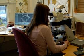 Provtagning Kiselalgsprovtagningen utfördes av Medins Havs- och Vattenkonsulter AB mellan 2 augusti och 4 september enligt metod SS-EN 3946 (SIS 204a) och Handledning för miljöövervakning,