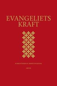 Evangeliets kraft : kyrkofädernas skrifttolkning - utläggningar av epistelläsningarna i