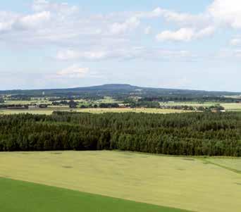 Kinnekulle ETT VÄSTGÖTSKT PLATÅBERG Kullen vid Väners strand är ungefär 14 km lång och 7 km bred.