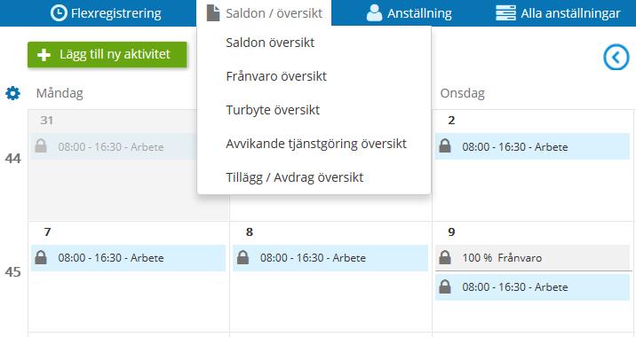 Saldon/översikt