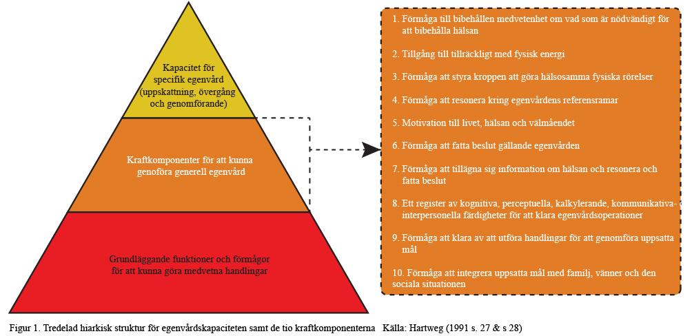 på sikt kommer återfå sin egenvårdskapacitet.