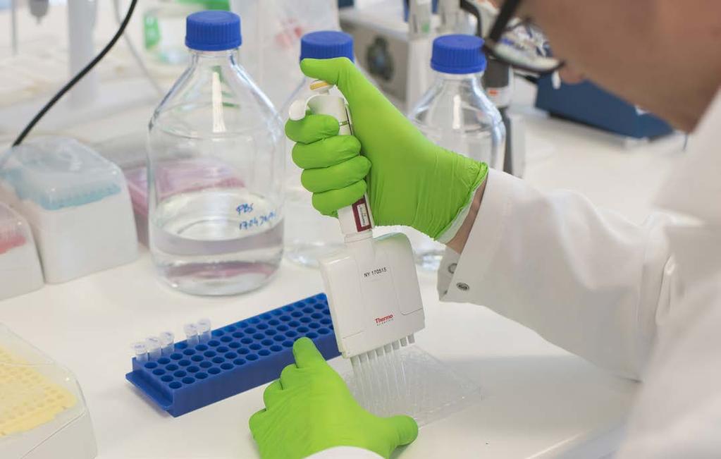 En forskare i BioArctics laboratorium studerar sjukdomsrelaterade proteiner i analysplattor.