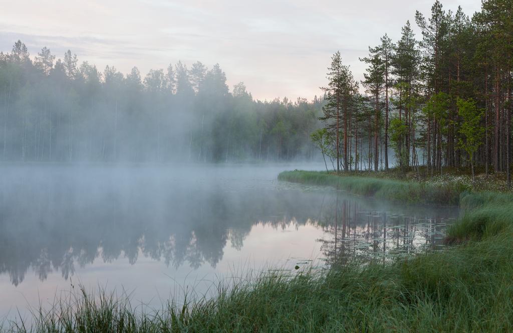 18 SAVO SOUL SAVO SOUL 19 HÅLLBARHET PÅ SÅ MÅNGA SÄTT För Savo är respekten för miljön en central del i vårt synsätt.