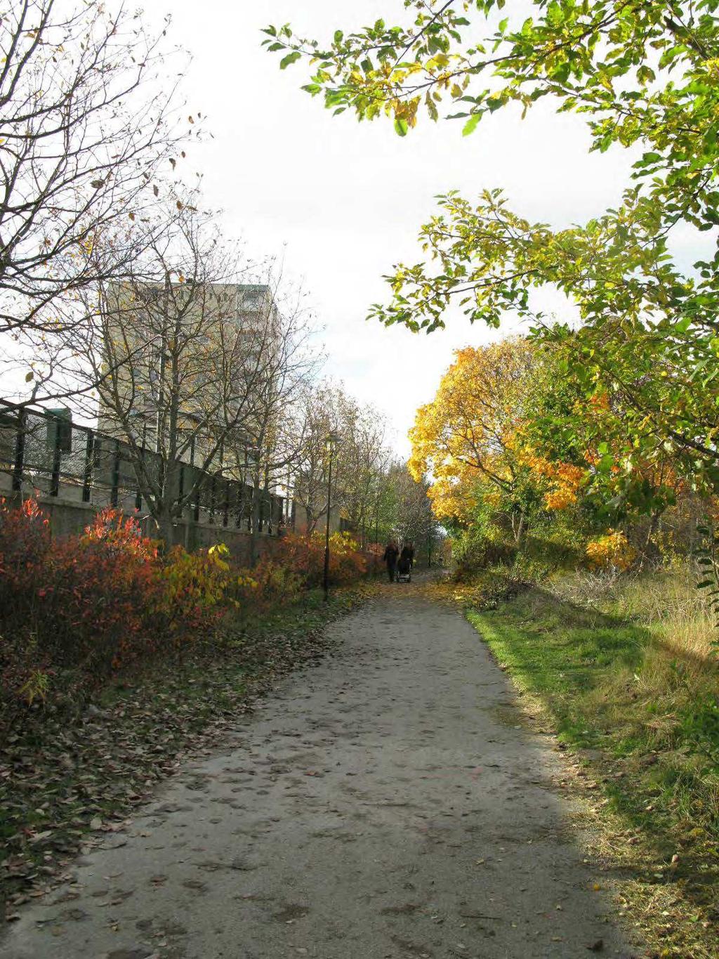 10(19) Bild 6.
