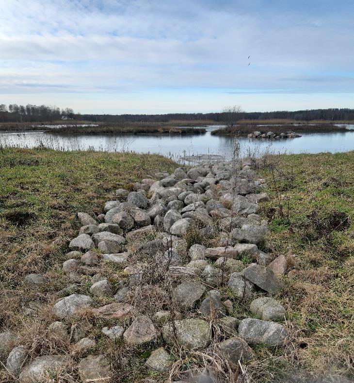 Handläggarstöd för tillsyn på